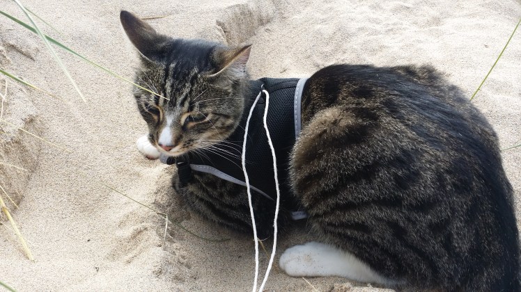 Not too sure about this.