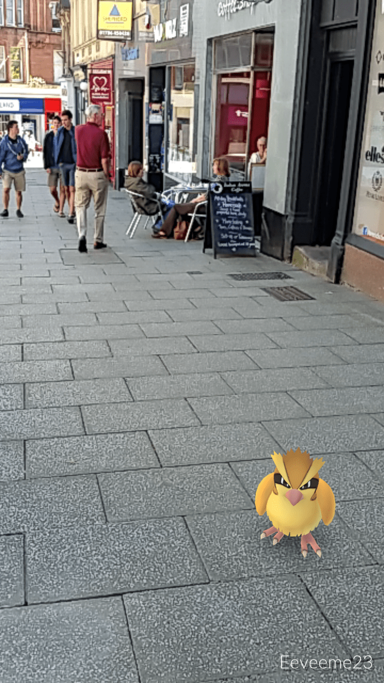 IMG_2016-07-14-13531879